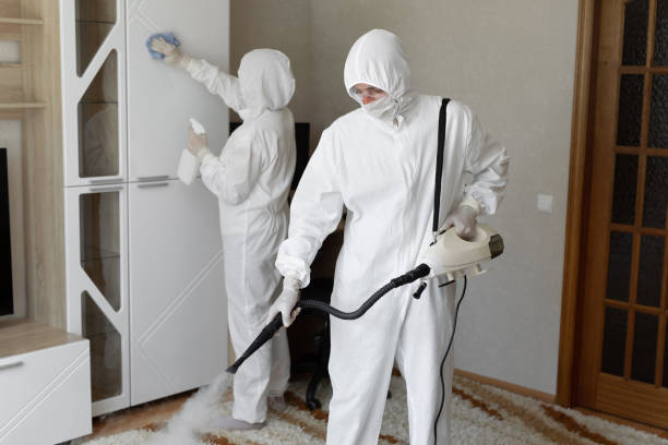 Home Mold Removal in Rochester, NY