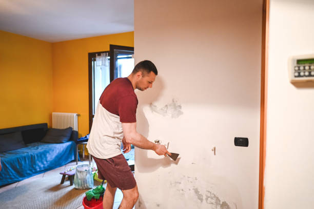 Certified Mold Removal in Rochester, NY